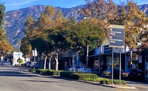 Tree-lined North Lake Avenue in Pasadena with the San Gabriel Mountains in the background
